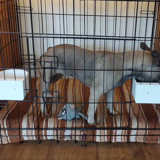 Hundenapf Wandmontage S – abnehmbar, robust & lebensmittelecht, für kleine Rassen, 0.7 L